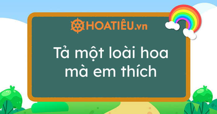 Top B I T M T Lo I Hoa M Em Th Ch Hay Ch N L C Hoatieu Vn