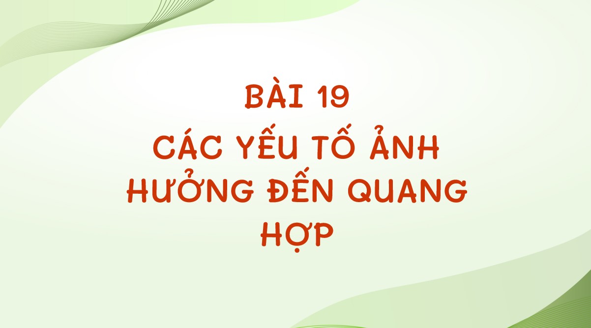 Gi O N I N T Sinh H C C Nh Di U B I Hoatieu Vn