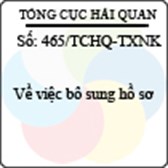 Công văn 465/2013/TCHQ-TXNK