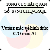 Công văn 875/2013/TCHQ-GSQL