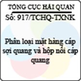 Công văn 917/2013/TCHQ-TXNK