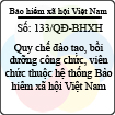 Quyết định 133/QĐ-BHXH