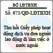 Quyết định 673/QĐ-LĐTBXH