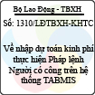 Công văn 1310/LĐTBXH-KHTC