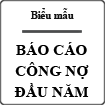 Báo cáo công nợ đầu năm