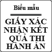 Mẫu giấy xác nhận kết quả thi hành án