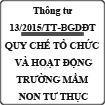 Thông tư ban hành quy chế tổ chức và hoạt động trường mầm non tư thục số 13/2015/TT-BGDĐT