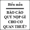 Báo cáo quý nộp gì cho cơ quan thuế?