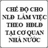 Chế độ cho người lao động làm việc theo hợp đồng lao động tại cơ quan nhà nước