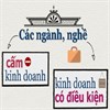 Nghị định 72/2009/NĐ-CP về điều kiện an ninh, trật tự đối với ngành nghề kinh doanh có điều kiện
