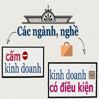 Nghị định 72/2009/NĐ-CP về điều kiện an ninh, trật tự đối với ngành nghề kinh doanh có điều kiện