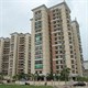 Nghị định 100/2015/NĐ-CP về phát triển và quản lý nhà ở xã hội