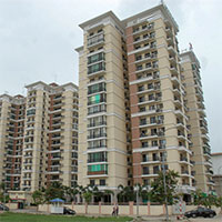 Nghị định 100/2015/NĐ-CP về phát triển và quản lý nhà ở xã hội