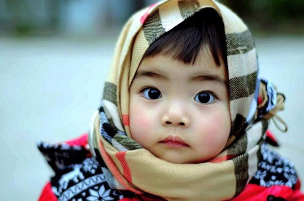 Chính sách nổi bật về Tiền lương - Bảo hiểm từ 16-21/11/2015