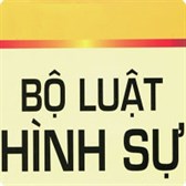 Bộ luật hình sự sửa đổi 2009