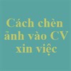 Cách chèn ảnh vào CV xin việc