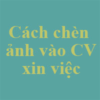 Cách chèn ảnh vào CV xin việc