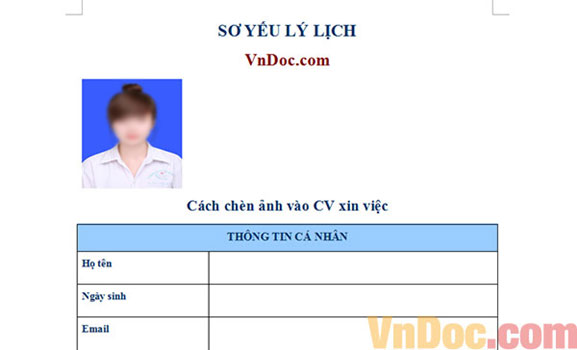 Chèn ảnh vào đơn xin việc file word Cách chèn ảnh vào CV xin việc
