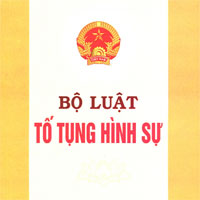 Bộ Luật tố tụng hình sự 101/2015/QH13