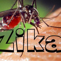 Mẫu điều tra, phiếu yêu cầu xét nghiệm bệnh do vi rút Zika