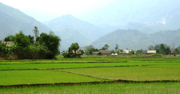 Quy định về hạn mức nhận chuyển quyền sử dụng đất nông nghiệp của hộ gia đình