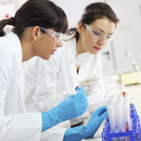 Nghị định 63/2012/NĐ-CP quy định chức năng, nhiệm vụ, quyền hạn và cơ cấu tổ chức của Bộ Y tế