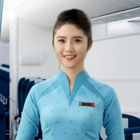 Mẫu phiếu đăng ký dự tuyển tiếp viên hàng không Vietnam Airlines