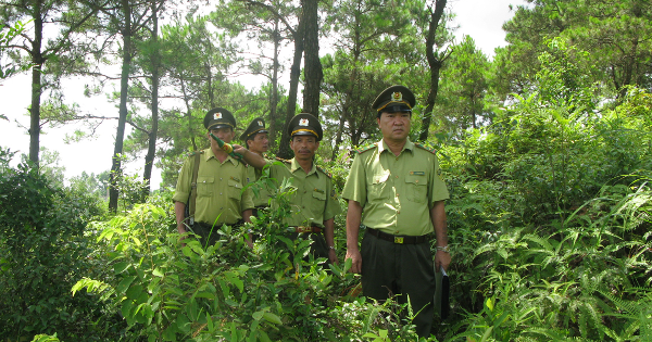 Khi nào kiểm lâm được dùng súng?