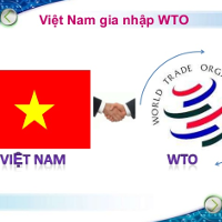 Quyết định 1969/QĐ-TTg chuẩn bị và thực hiện Hiệp định Tạo thuận lợi thương mại Tổ chức Thương mại Thế giới