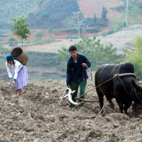 Quyết định 2115/QĐ-TTg về tiêu chí huyện nghèo áp dụng cho giai đoạn 2017-2020