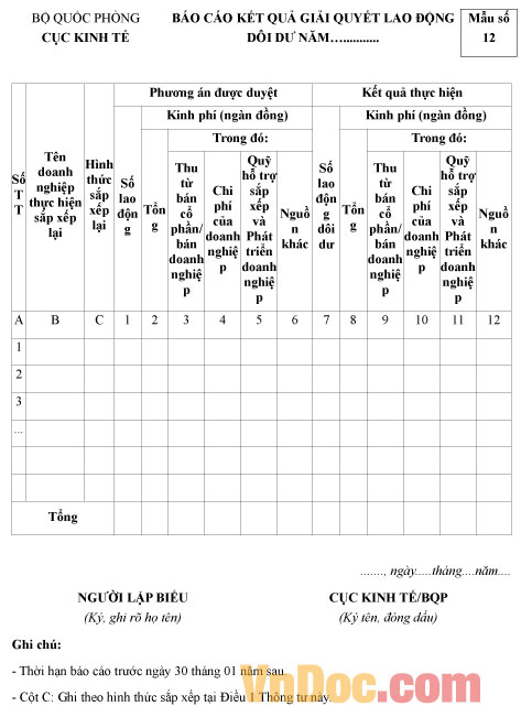 Mẫu báo cáo kết quả giải quyết lao động dôi dư