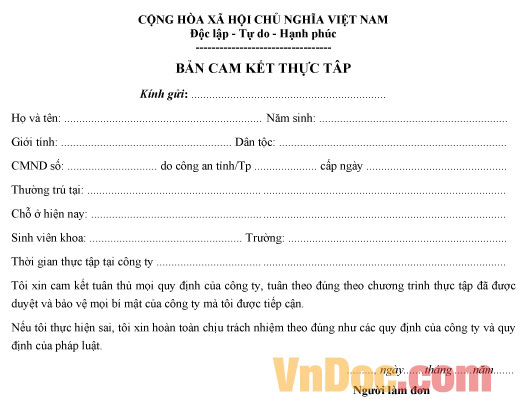 Mẫu bản cam kết thực tập