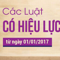 Danh mục Bộ luật, luật sẽ có hiệu lực từ năm 2017