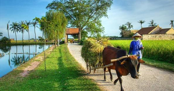 Điều kiện công nhận địa phương đạt chuẩn nông thôn mới