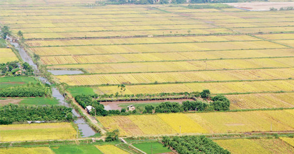 Thủ tục cấp lại Giấy chứng nhận quyền sử dụng đất bị mất