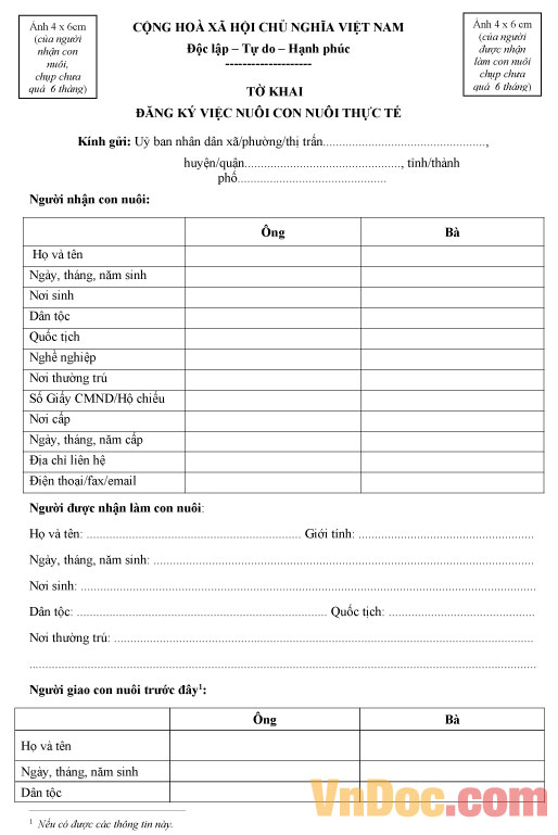 Mẫu tờ khai đăng ký việc nuôi con nuôi thực tế