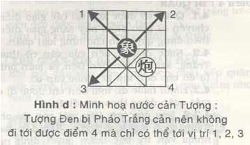 Hướng dẫn cách chơi cờ tướng cơ bản cho người mới bắt đầu chơi