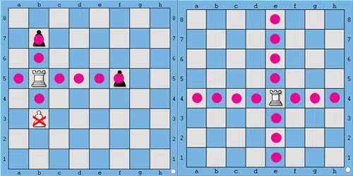 Hướng dẫn cách chơi cờ vua cơ bản cho người mới bắt đầu