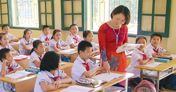 Vai trò của tổ chuyên môn trong trường tiểu học Vai trò của tổ chuyên môn trong trường tiểu học