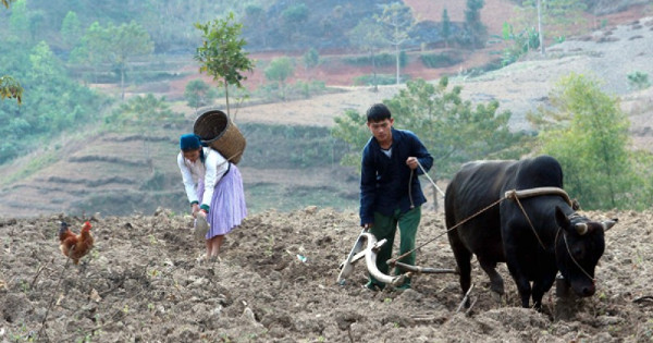 5 tiêu chí huyện nghèo áp dụng cho giai đoạn 2017 - 2020