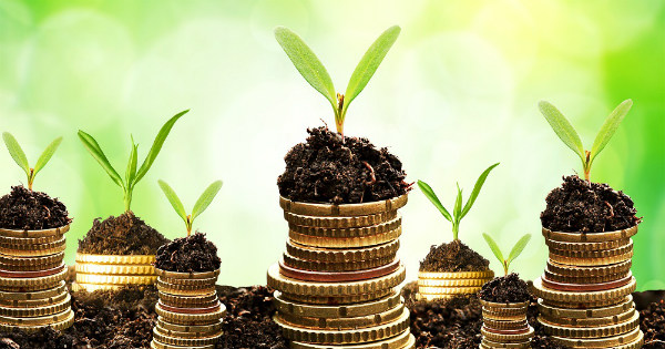 Báo cáo tài chính nhà nước gồm những nội dung gì?