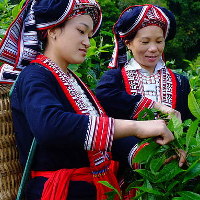 Thông tư 02/2017/TT-UBDT về chính sách hỗ trợ phát triển kinh tế - xã hội vùng dân tộc thiểu số và miền núi