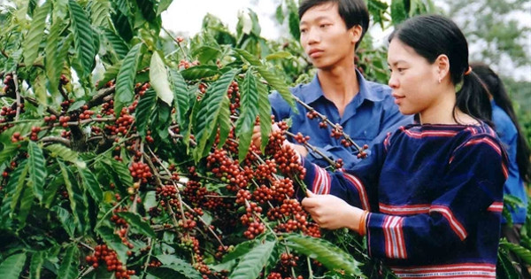 Mức hỗ trợ đào tạo nghề cho dân tộc thiểu số áp dụng từ 2017