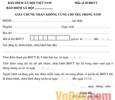 Mẫu giấy chứng nhận không cùng chi trả trong năm
