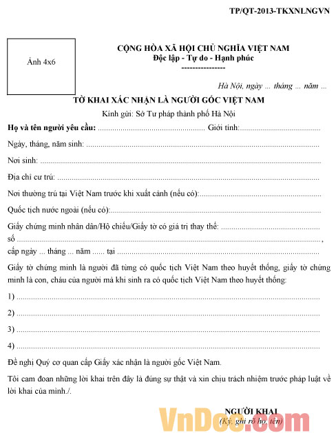 Mẫu tờ khai xác nhận là người gốc Việt Nam