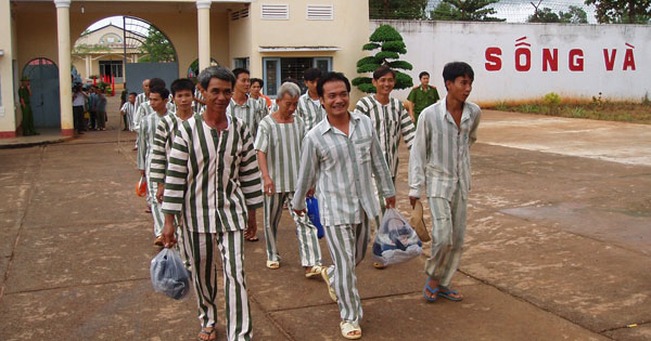 Phân biệt ân xá, đại xá, đặc xá, tha tù trước thời hạn