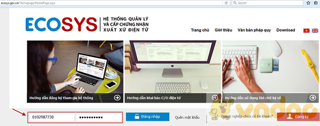Hướng dẫn khai báo C/O điện tử