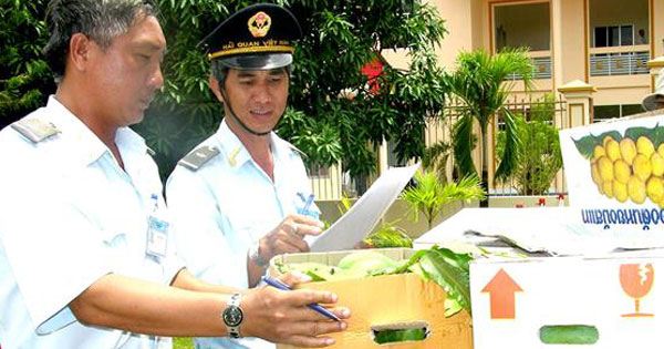 Thủ tục đăng ký kiểm dịch thực vật xuất khẩu