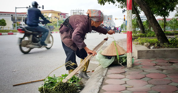 Con cái bất hiếu với cha mẹ có thể bị phạt tù