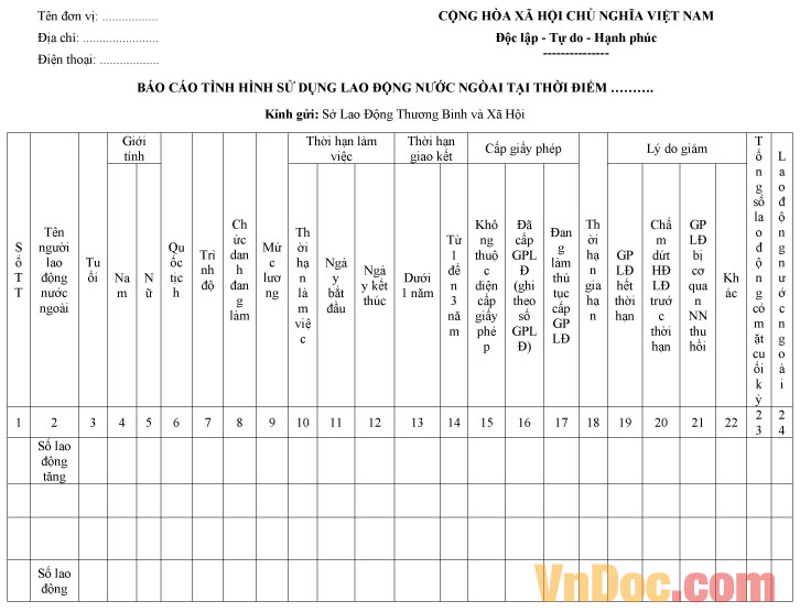 Mẫu báo cáo tình hình sử dụng lao động nước ngoài